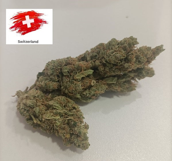 Amnésia Haze (Hydro)