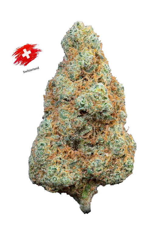 Gorilla/Mandarine (Hydro)