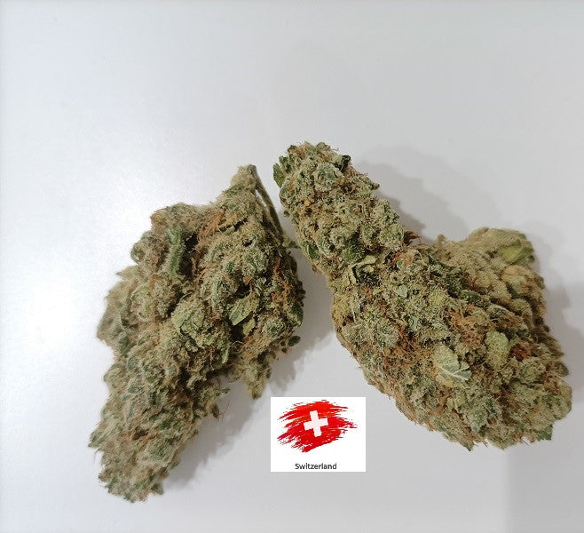 Charlotte's Angel (Hydro)