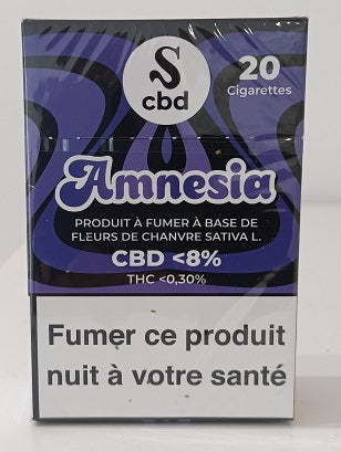 Paquet  Amnesia