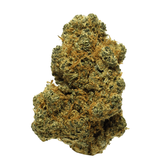 Gorilla Mandarine (Indoor)