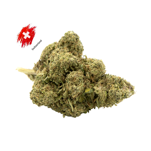 Lemon Kush (Indoor)