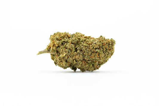 Mimosa (10-OH+)