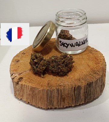 Skywalker (Glasshouse)